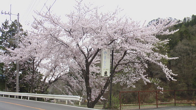 道志の森キャンプ場その６