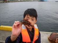 六甲アイランドズボ釣り 2009/12/14 00:25:46