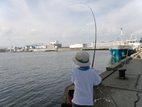 休刊中３弾9/11写真だけ釣果 2010/09/12 00:07:39