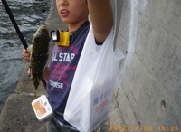 魚崎日曜息子と落とし込み 2012/09/11 00:00:56