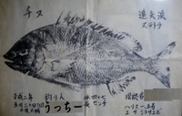 遠矢浜に行かなくなった理由 2010/07/22 01:42:13