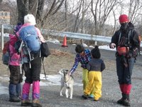 晴天の和佐又山をゆるゆるハイク～。 2013/02/04 13:22:23