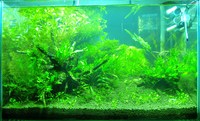 2010.1.4 2010/01/05 08:39:06