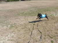 悲しすぎるお知らせです。 2011/08/11 09:29:07