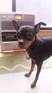 恐いです。。。地震。。。 2011/03/12 19:00:00