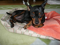 年に一度の・・・（＝３＝；） 2011/05/25 18:15:05