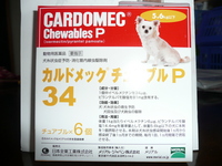 フィラリアのお薬 2011/05/05 17:00:17