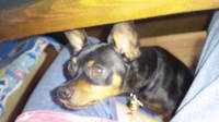 初レインコートで♪ 2011/05/07 17:18:53