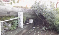いまさらですが・・・。。。 2011/09/24 16:49:51