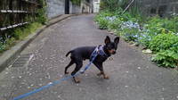 お久しぶりで～す(^-^*)/ｺﾝﾁｬ! 2011/05/04 15:28:12