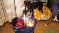 いまさらですが・・・。。 2010/12/30 15:54:04