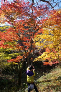 大子で紅葉狩り