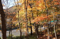 大子で紅葉狩り