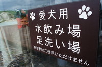 いぬのきもち