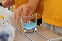 レジーナの森後編