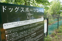 いぬのきもち