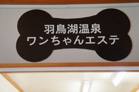 いぬのきもち
