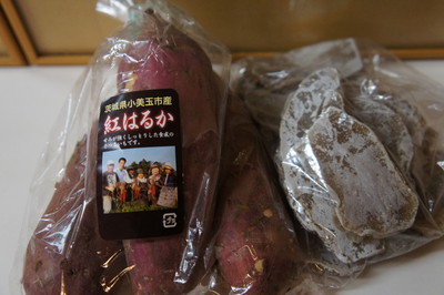 初冬のレジーナの森へ