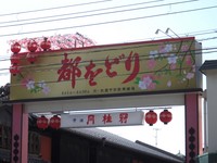 今年の桜