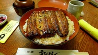 【№44】伊豆半島反時計回りの旅