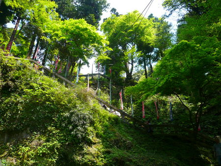 お山の練習一発目♪～天園ハイキングコース～