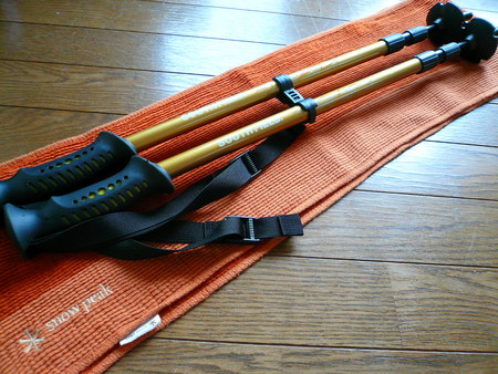 お山の練習二発目♪～高尾山偵察準備～