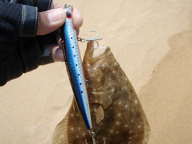 釣りバカにつけるクスリ ヒラメ ソゲ