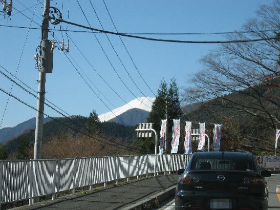 道志の森