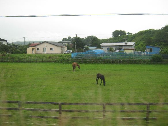 北海道リベンジ2