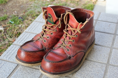 ハル ユメ Diary Red Wing