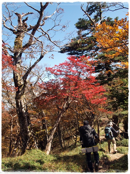 弥山・八経ヶ岳、初めての山キャンプ