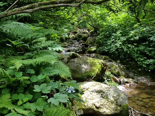 大辻山登山