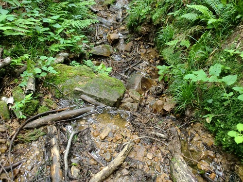 大辻山登山