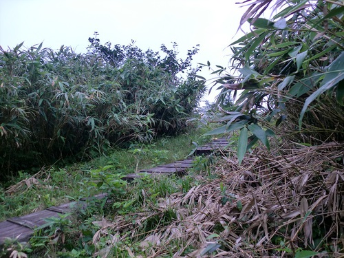 白木峰登山