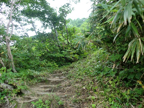 白木峰登山