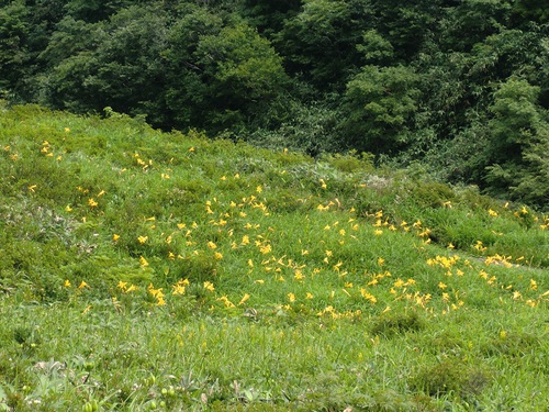 白木峰登山