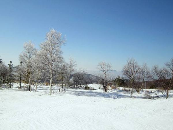 お泊まりでSKI