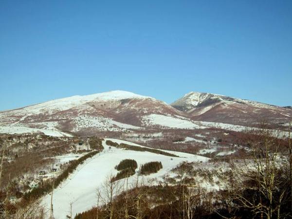 お泊まりでSKI