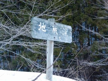 氷の世界