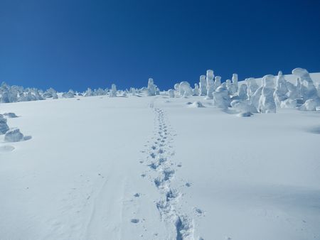 西吾妻山の妖精たち