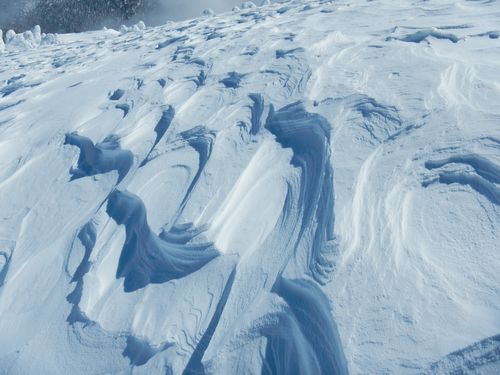 西吾妻山の妖精たち