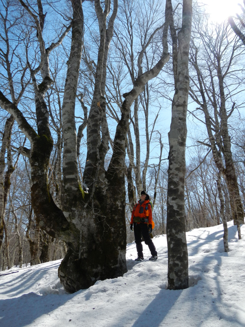 本日、晴天なりin雄国山