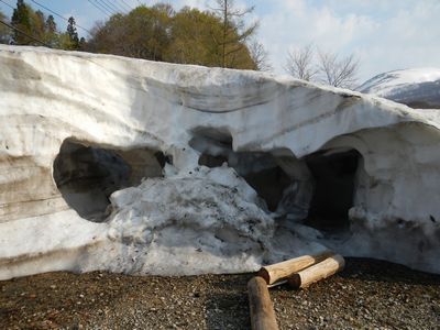 山全体がゲレンデ！月山を登ろう。