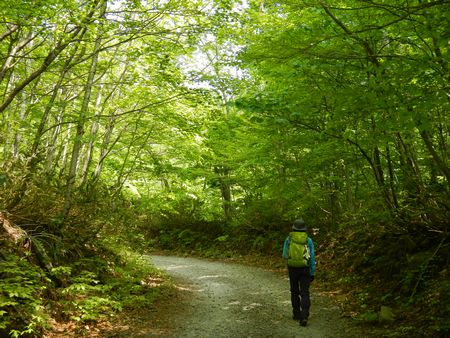山滴る　北泉ｹ岳