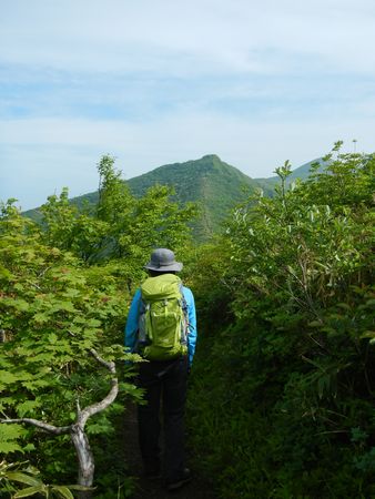 花々を愛でながら・・・神室岳
