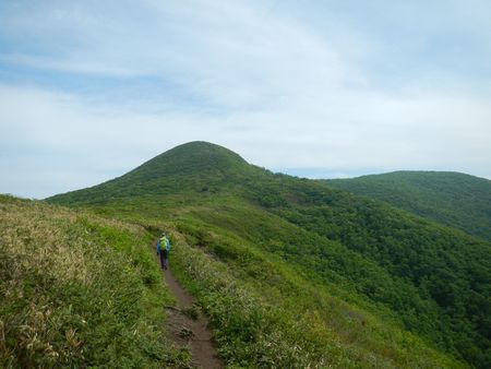 花々を愛でながら・・・神室岳