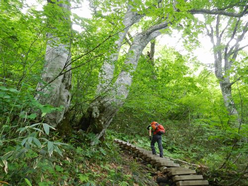新潟県の最高峰in火打山