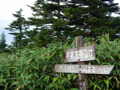 夏の花々in宮城蔵王