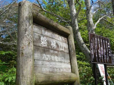 磐梯山のブナが危機