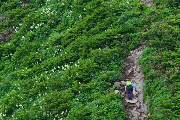 北蔵王の中心となる雁戸山